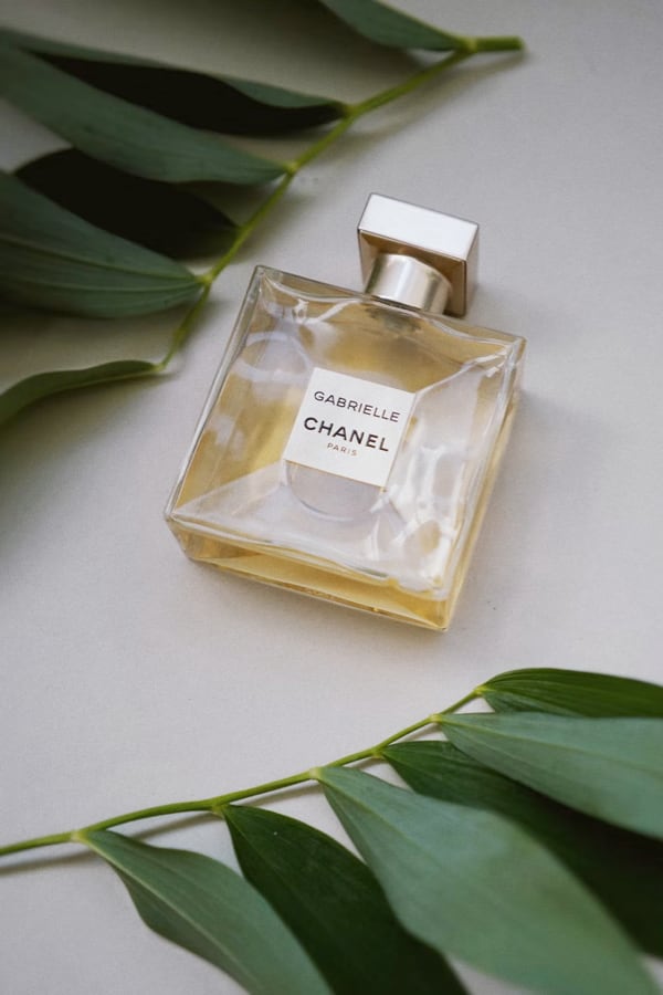 Chanel perfume bottle named Gabrielle on a white background with leafs on branches at the top and bottom 